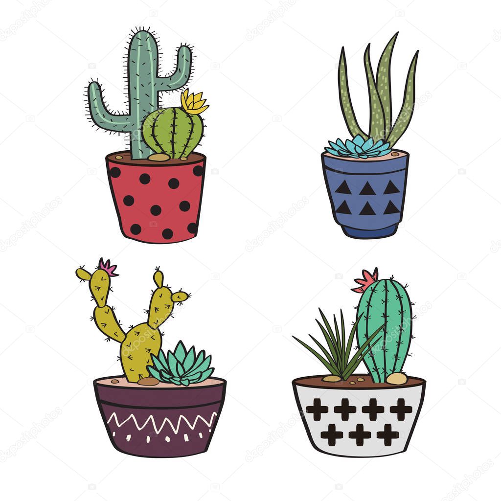 Vector set with colorful cactuses and succulents in pots