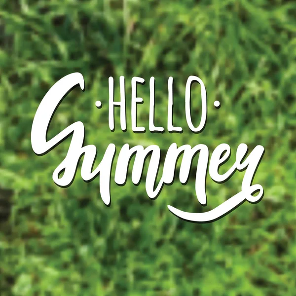 Vector illustration with "Hello Summer" lettering and blurred background with grass — Stock Vector