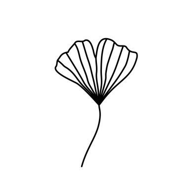 Beyaz arka planda izole edilmiş Ginkgo biloba el çizimi yapraklı vektör botanik çizimi. Amblem, simge, rozet veya logo ögesi