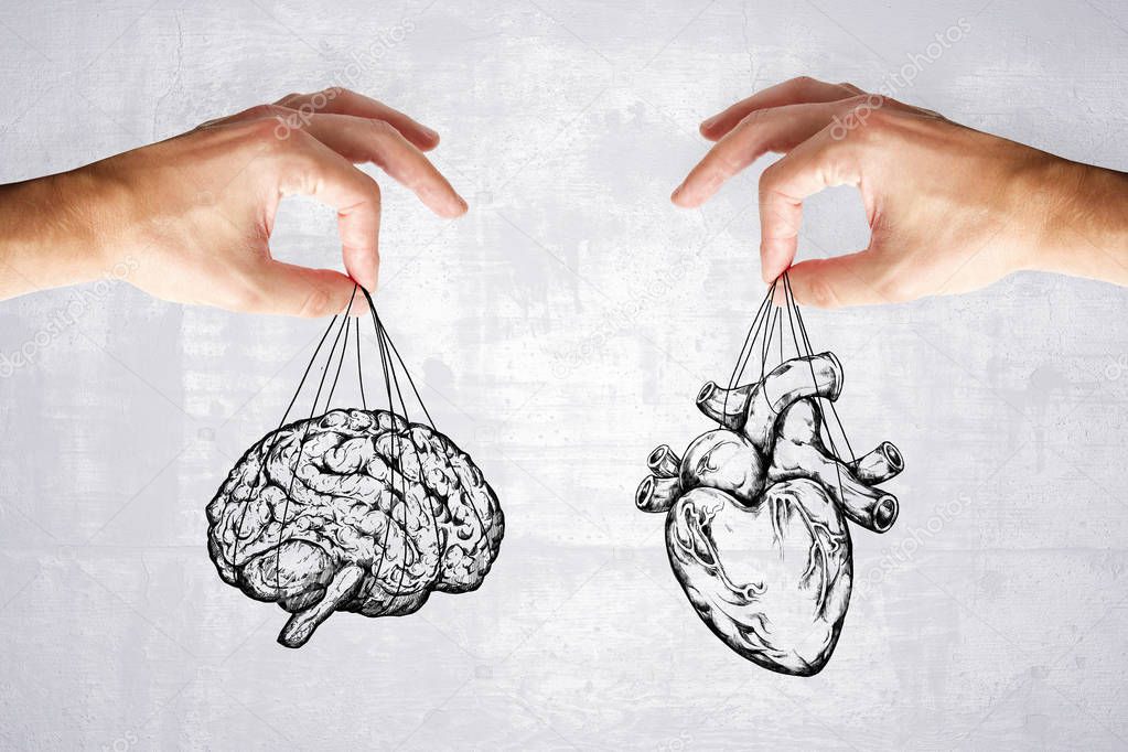 balance your life, logic and feel concept with heart and brain in hands at grey background. 