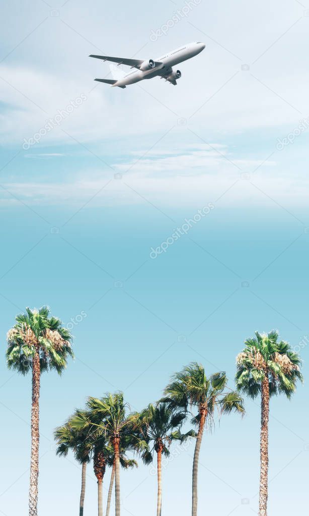 Airplane flying above palm trees on bright blue sky backdrop. Travel concept 