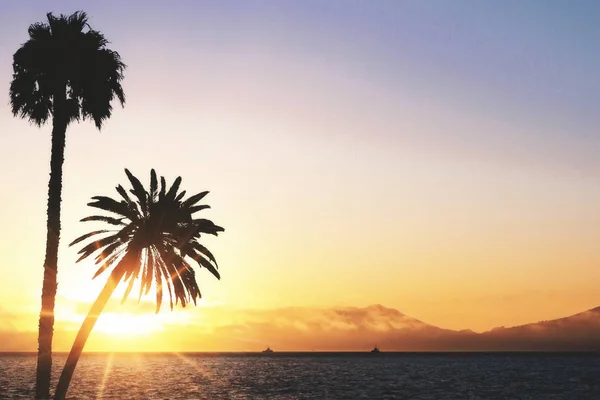 Φόντο Δημιουργική Ηλιοβασίλεμα Παραλία Φοίνικες — Φωτογραφία Αρχείου