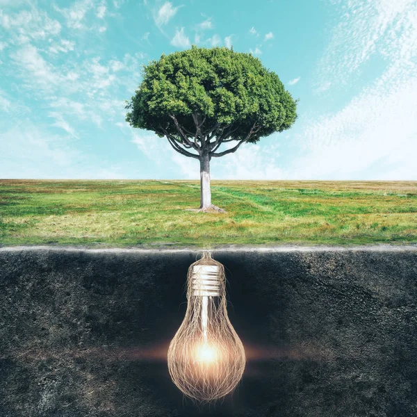 Árbol Con Raíces Lámpara Sobre Fondo Paisaje Concepto Crecimiento Innovación — Foto de Stock