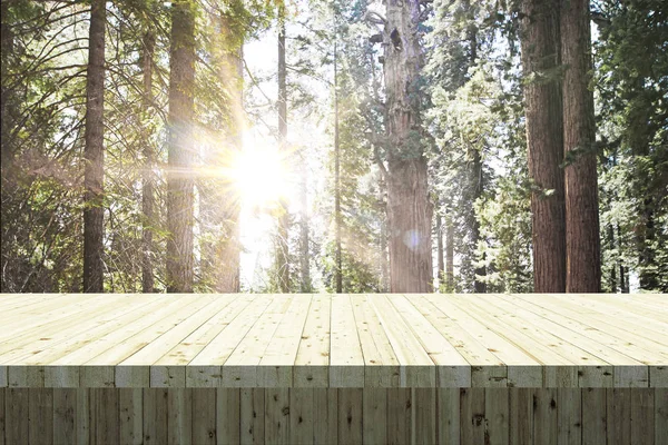 森林背景上的空木桌 蒙太奇和野餐的概念 — 图库照片