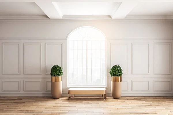 Modern classical interior with window, bench, pot trees and sunlight. 3D Rendering