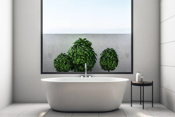 时尚的浴室内部植物 — 图库照片