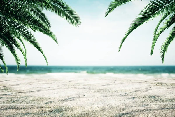 Hermoso fondo de playa con palmeras —  Fotos de Stock