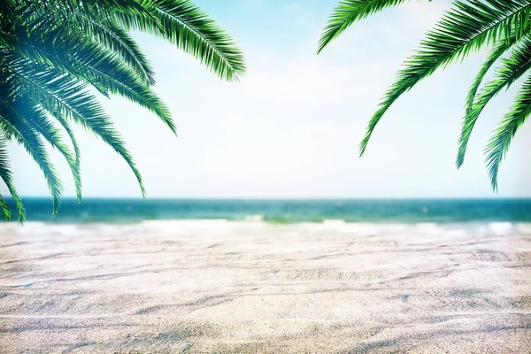 Hermoso fondo de playa con palmeras —  Fotos de Stock