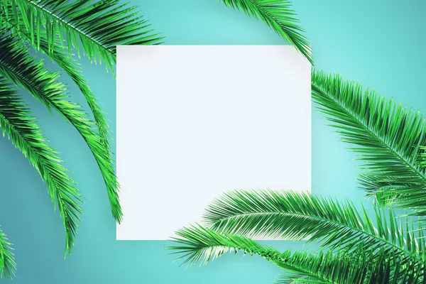 Yaratıcı palmiye posteri — Stok fotoğraf