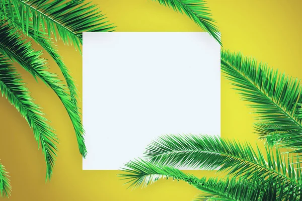 Creative palm poster — Stock Photo, Image