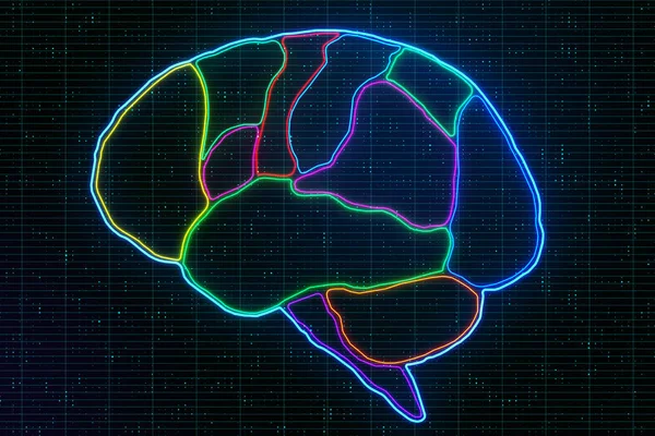 Investigación médica del cerebro con anatomía de lóbulos cerebrales humanos marcados por líneas de neón . —  Fotos de Stock