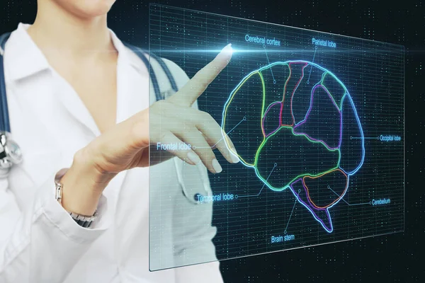 Doctor working with medical brain research on digital screen, brain lobes marked by neon color.