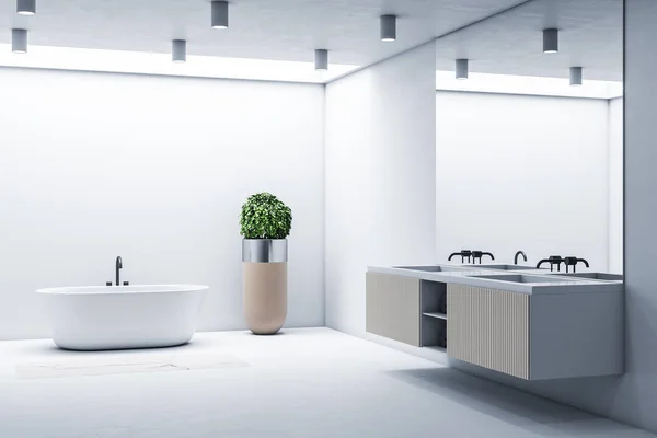 Cleen bathroom with mirror on wall and self care products. Style and hygiene concept. 3d rendering