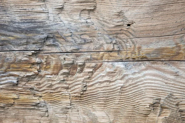 Деревянная текстура. — стоковое фото