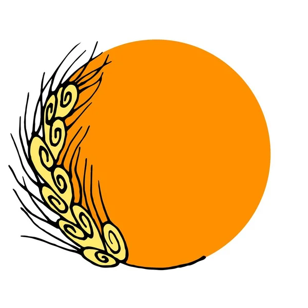 Płatki zbożowe na tle pomarańczowego słońca. Jesienne logo. Rye wije pięknie. Ilustracja organiczna. Izolowany projekt wektorowy. Logo firmy Creative. Symbol organiczny. Białe tło — Wektor stockowy