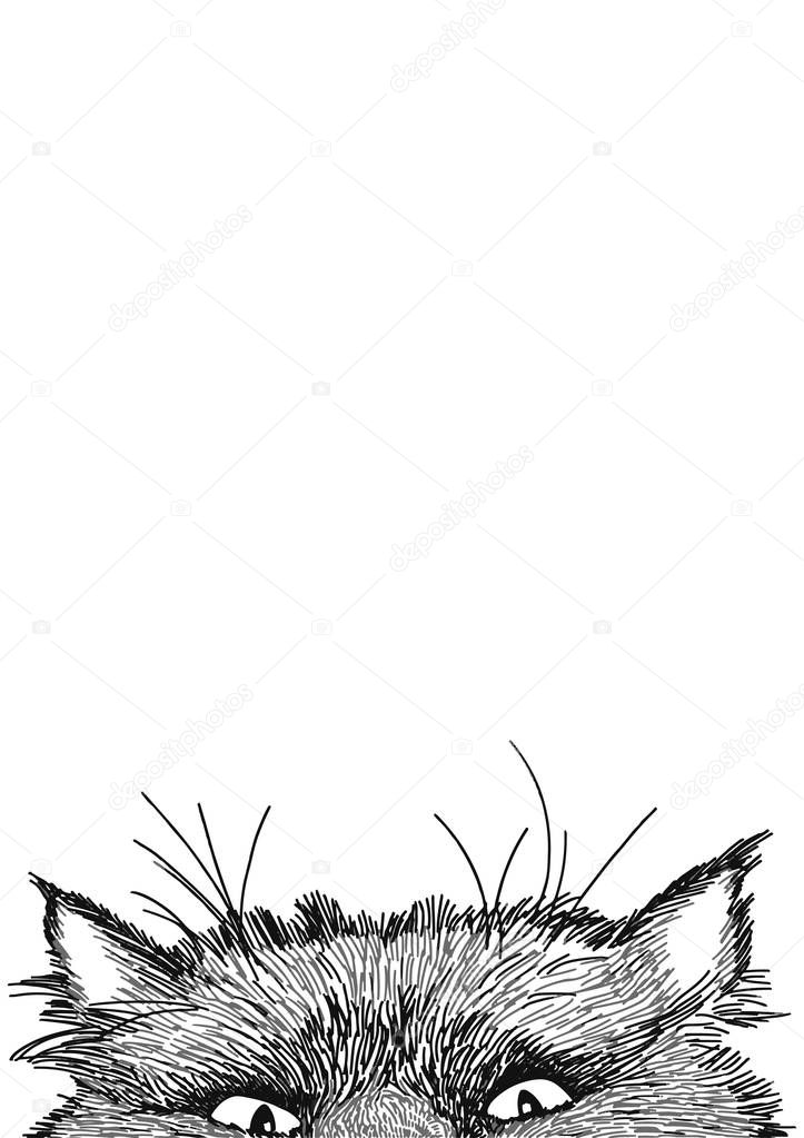 Sly cat looks out from behind the table. Sketch cat for decoration design. Vector graphic. Isolated vector illustration. Animal head in trendy style. Outline style. Funny vector illustration.