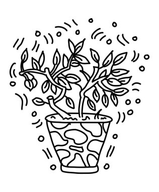 Saksı çiçekleri karalama tarzında çizilir. Saksıdaki çiçekler beyaz arka plana siyah çizgi çizdiler. Dekoratif saksı bitkisi çizimi baskı, web, mobil, kartpostallar, kapak resmi