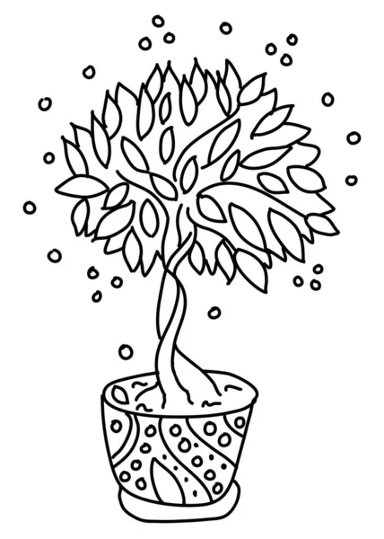 Les fleurs en pot sont dessinées dans le style doodle. Fleurs en pots peints ligne noire sur un fond blanc. Plante décorative de maison en pot croquis illustration pour imprimer, web, mobile, cartes postales, couverture — Image vectorielle