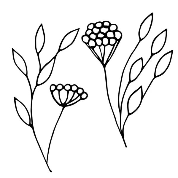 Uppsättning prydnadsblad och bär i doodle-stil. Handritade illustrationer på vit bakgrund. Svarta silhuetter. Eleganta blommiga element som. Dekoration vykort, tidskrifter, webbplats, böcker — Stock vektor