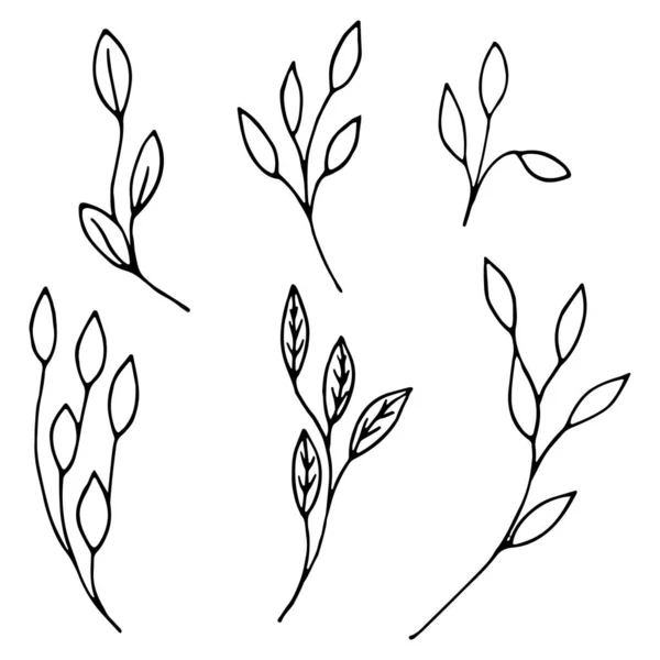 Set sierblaadjes, takjes in Doodle stijl. Met de hand getekende illustraties op witte achtergrond. Zwarte silhouetten. Elegante bloemenelementen. Decoratie ansichtkaarten, tijdschriften, site, boeken — Stockvector