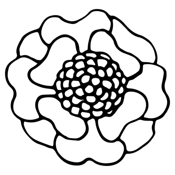 Rucne Kreslenou Ozdobne Jahody Vector Grafico Vectorial Imagenes De Rucne Kreslenou Ozdobne Jahody Vectoriales De Stock Pagina 3 Depositphotos Rucne Kreslenou Ozdobne Jahody Vector Grafico Vectorial Imagenes De Rucne Kreslenou Ozdobne Jahody Vectoriales De Stock Pagina 3 Depositphotos
