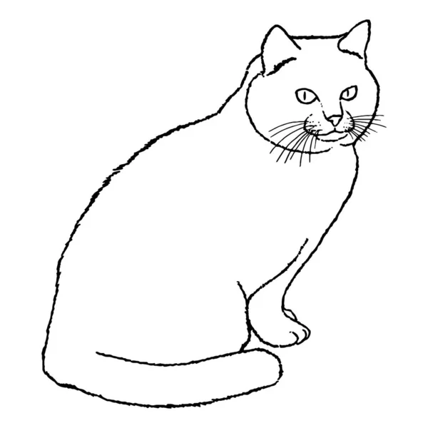 Disegno Simpatico Gatto Seduto Che Guarda Con Gli Occhi Grandi — Vettoriale Stock