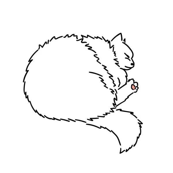 Dibujo de un lindo gato dormido acurrucado en una pelota. Ilustración en blanco y negro de un animal. Pata con una almohadilla rosa. Imagen realista de un animal. Stock vector ilustración. Estilo lineal. Animales peludos — Archivo Imágenes Vectoriales