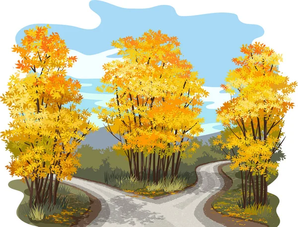 Sonbahar ağaçlarının bir orman yoluyla yolda çatal Vektör illüstrasyon — Stok Vektör