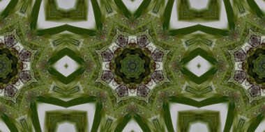 soyut grafik desen, kusursuz arkaplan