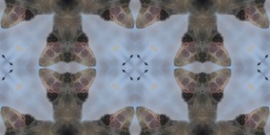 soyut grafik desen, kusursuz arkaplan