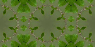 Duvar kağıdı, web sayfası arkaplanı, yüzey dokusu için pürüzsüz desen kullanılabilir