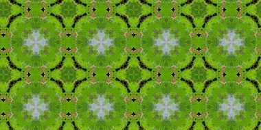 güzel, pürüzsüz desen, soyut duvar kağıdı 