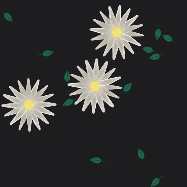 Vector Ilustración Flores Verano Pétalos Con Hojas Fondo Botánico — Vector de stock