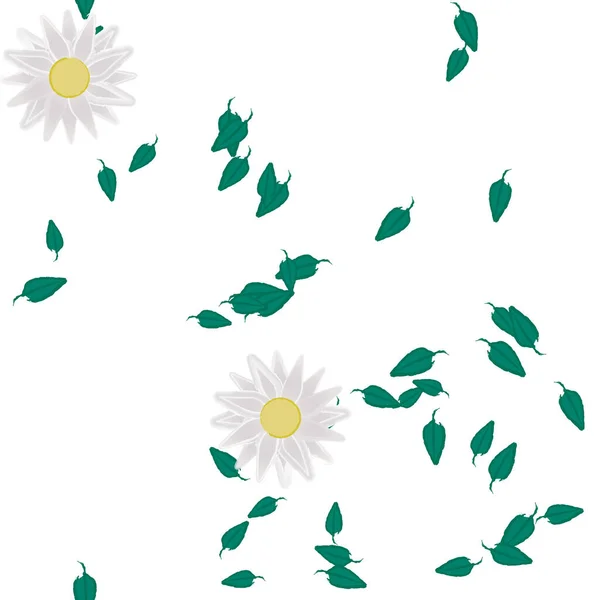 Векторная Иллюстрация Летних Цветов Лепестки Листьями Цветочный Фон — стоковый вектор