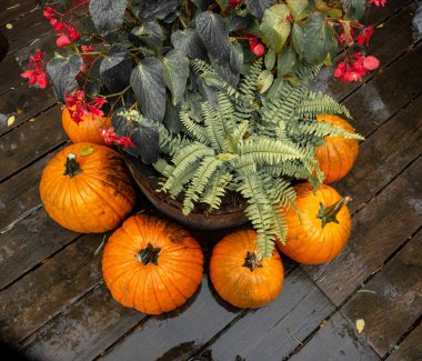 Eğreltiotunun etrafını süslemek için balkabaklarını kapat.