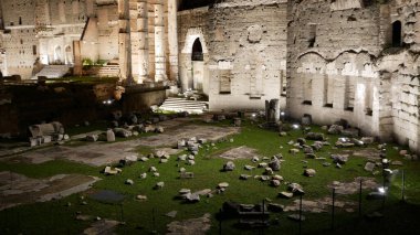 ROMA, İTALYA - 25 Aralık 2018: Augustus Forumu (Gece))