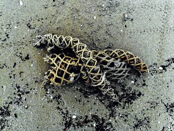 Leftover Rope Butterfly Shaped Sand — Stock Photo, Image