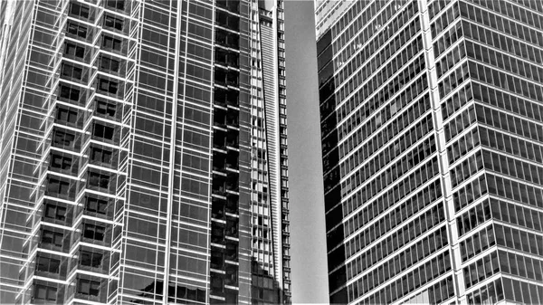 Şehir Merkezi Toronto Gökdelenler Siyah Beyaz — Stok fotoğraf