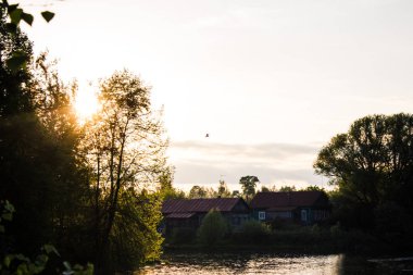 Gökyüzünde gün batımı. Ağaçlar yaz baharı. Su.