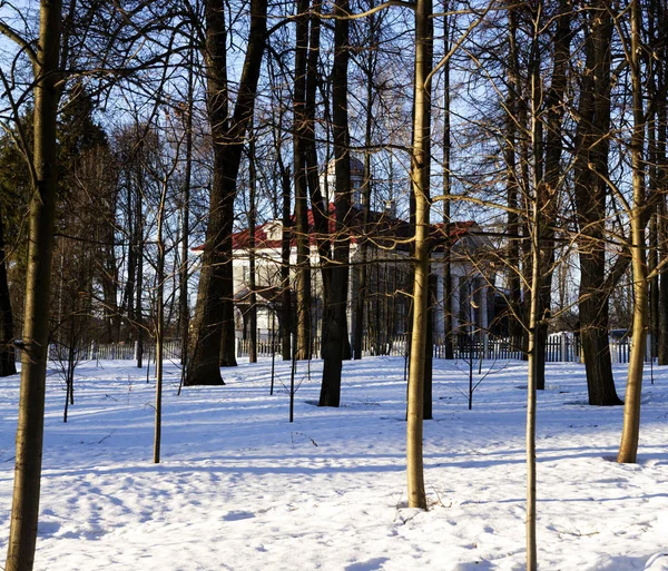 普希金博物馆在冬季 公园内的旧建筑 — 图库照片