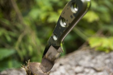 Ağaca saplanmış bir katlanır bıçak değil. Yaz yeşil.