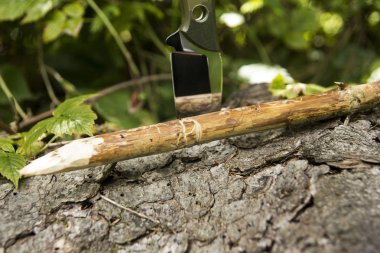 Ağaca saplanmış bir katlanır bıçak değil. Yaz yeşil.