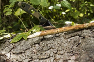 Ağaca saplanmış bir katlanır bıçak değil. Yaz yeşil.