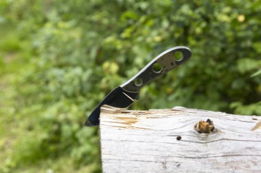 Düşmüş bir ağaca saplanmış bir katlanır bıçak değil..