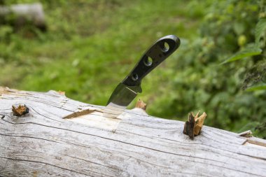 Düşmüş bir ağaca saplanmış bir katlanır bıçak değil..