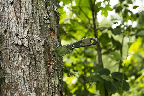 Not a folding knife stuck in a tree. Summer is green.