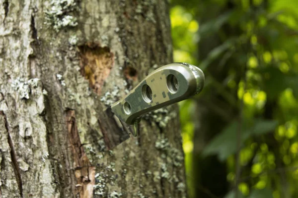 Folding Knife Stuck Tree Summer Green — Stock Photo, Image