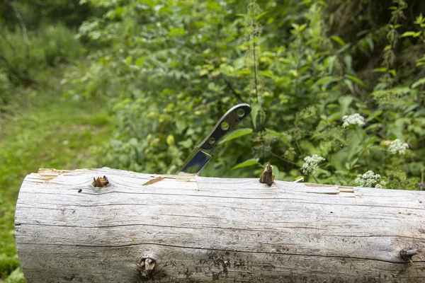 Not a folding knife stuck in a fallen tree.