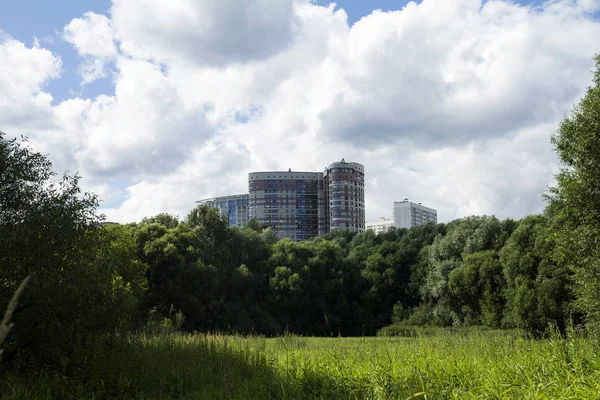 Flervåningshus Staden Bland Grönskan Vägskylt Stockfoto