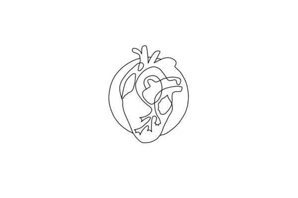 Καρδιά Λευκό Φόντο Κύκλωμα Ζωγραφισμένα — Φωτογραφία Αρχείου